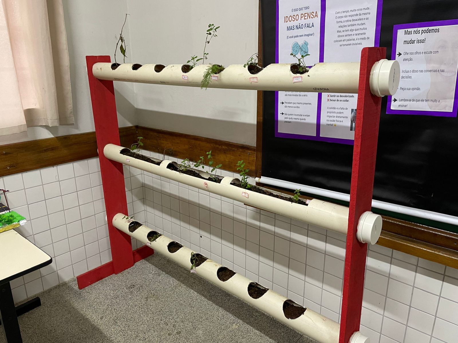 horta escolar comunitaria